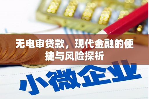 昌都无电审贷款，现代金融的便捷与风险探析