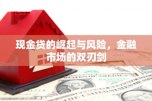 昌都现金贷的崛起与风险，金融市场的双刃剑