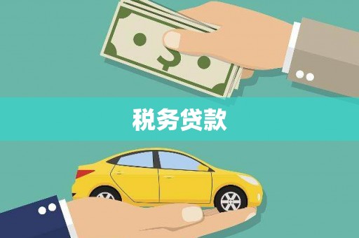 昌都税务贷款