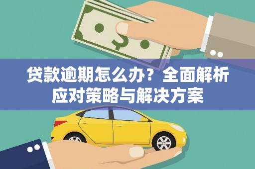 昌都贷款逾期怎么办？全面解析应对策略与解决方案