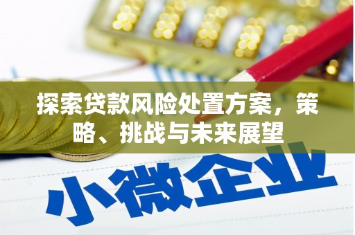 昌都探索贷款风险处置方案，策略、挑战与未来展望