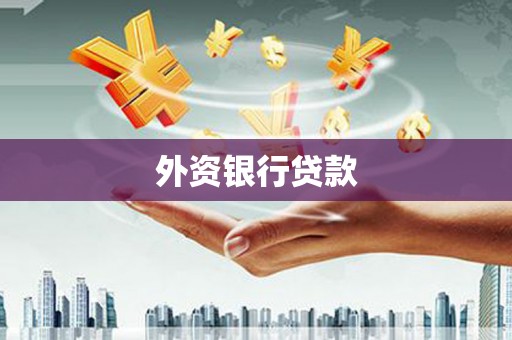 昌都外资银行贷款