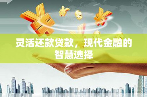 昌都灵活还款贷款，现代金融的智慧选择