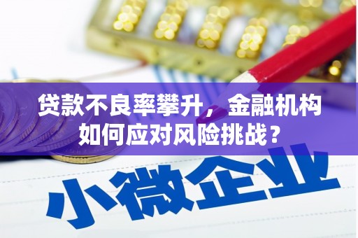 昌都贷款不良率攀升，金融机构如何应对风险挑战？