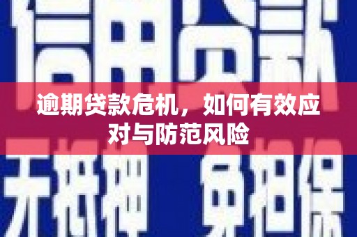 昌都逾期贷款危机，如何有效应对与防范风险
