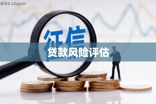 昌都贷款风险评估