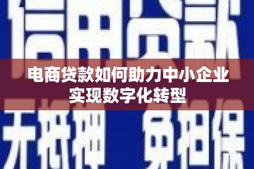 昌都电商贷款如何助力中小企业实现数字化转型