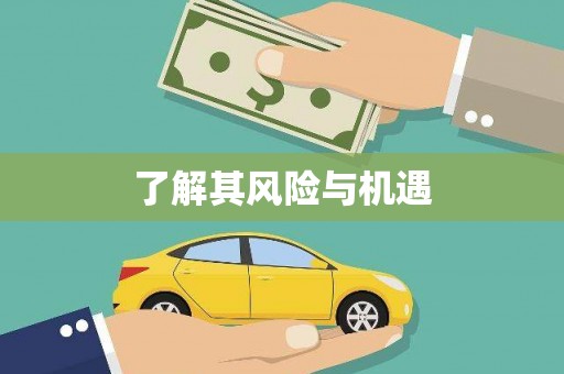 昌都了解其风险与机遇