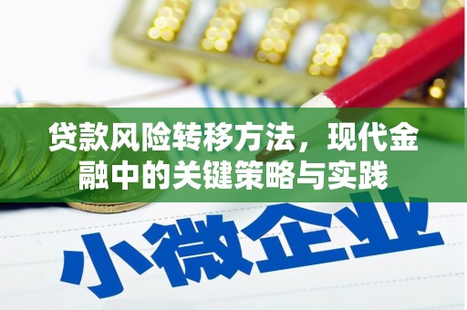 昌都贷款风险转移方法，现代金融中的关键策略与实践