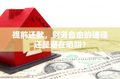 昌都提前还款，财务自由的捷径还是潜在陷阱？