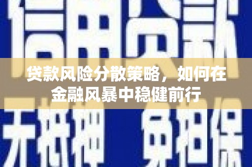 昌都贷款风险分散策略，如何在金融风暴中稳健前行