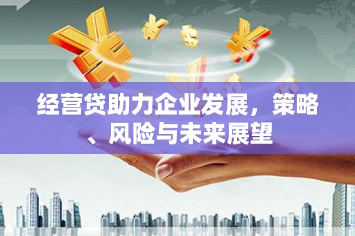 昌都经营贷助力企业发展，策略、风险与未来展望