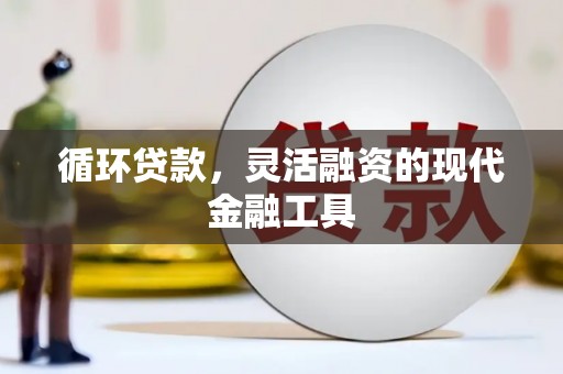 昌都循环贷款，灵活融资的现代金融工具