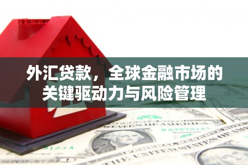 昌都外汇贷款，全球金融市场的关键驱动力与风险管理
