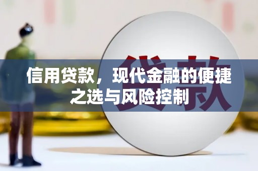 昌都信用贷款，现代金融的便捷之选与风险控制
