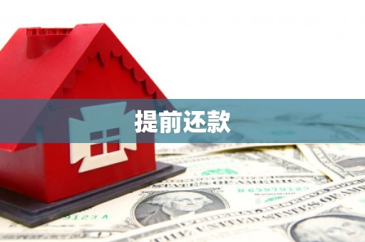 昌都提前还款