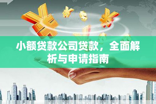 昌都小额贷款公司贷款，全面解析与申请指南