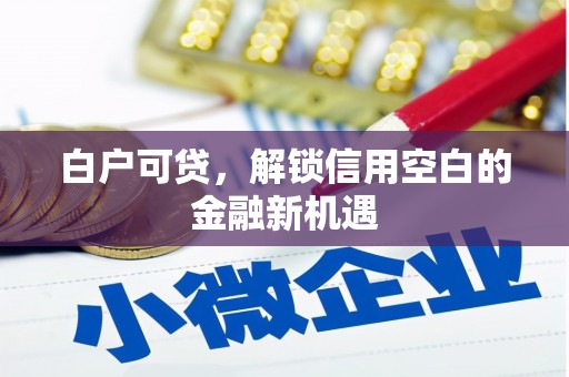 昌都白户可贷，解锁信用空白的金融新机遇