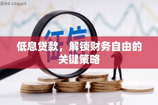 昌都低息贷款，解锁财务自由的关键策略