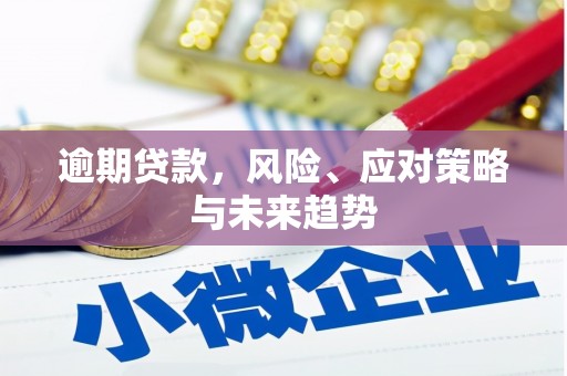 昌都逾期贷款，风险、应对策略与未来趋势