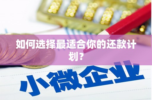 昌都如何选择最适合你的还款计划？