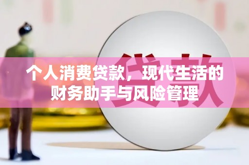 昌都个人消费贷款，现代生活的财务助手与风险管理