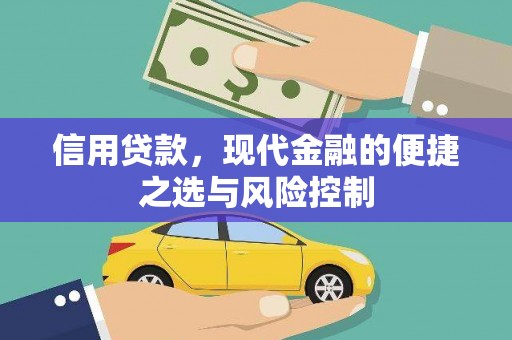 昌都信用贷款，现代金融的便捷之选与风险控制