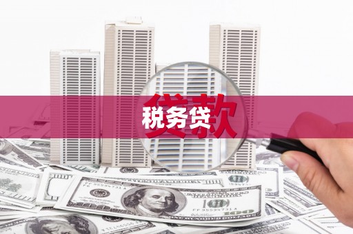 昌都税务贷