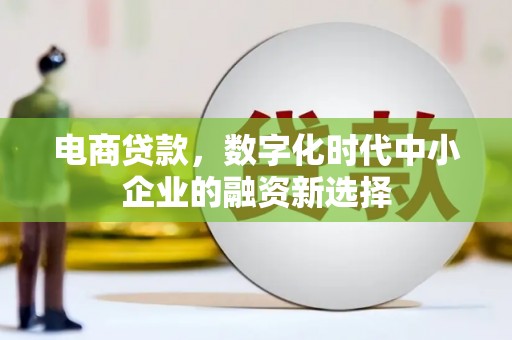 昌都电商贷款，数字化时代中小企业的融资新选择