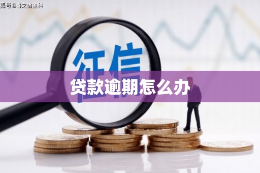 昌都贷款逾期怎么办
