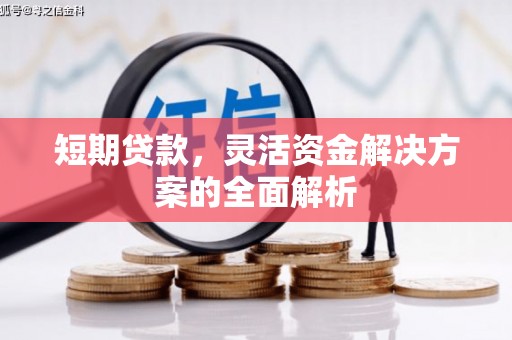 昌都短期贷款，灵活资金解决方案的全面解析