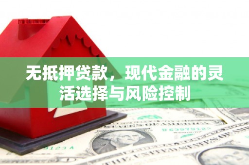 昌都无抵押贷款，现代金融的灵活选择与风险控制