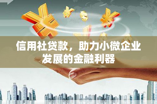 昌都信用社贷款，助力小微企业发展的金融利器