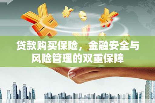 昌都贷款购买保险，金融安全与风险管理的双重保障
