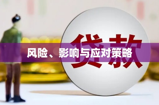 昌都风险、影响与应对策略