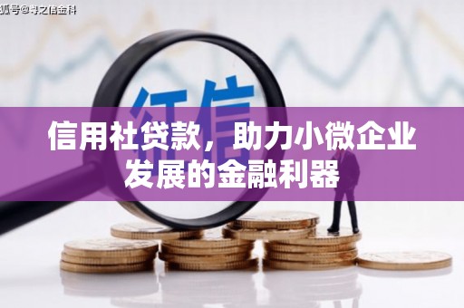 昌都信用社贷款，助力小微企业发展的金融利器