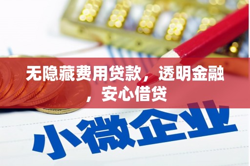 昌都无隐藏费用贷款，透明金融，安心借贷