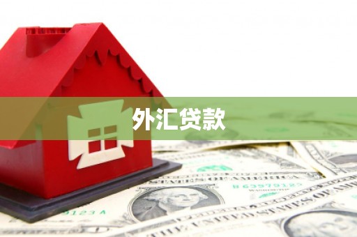 昌都外汇贷款