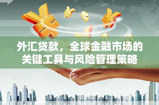 昌都外汇贷款，全球金融市场的关键工具与风险管理策略