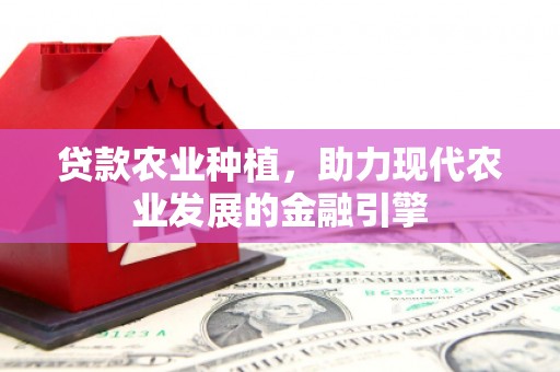昌都贷款农业种植，助力现代农业发展的金融引擎