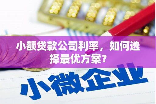 昌都小额贷款公司利率，如何选择最优方案？