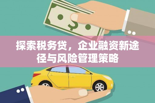 昌都探索税务贷，企业融资新途径与风险管理策略