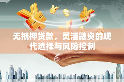 昌都无抵押贷款，灵活融资的现代选择与风险控制