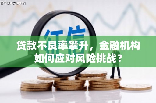 昌都贷款不良率攀升，金融机构如何应对风险挑战？