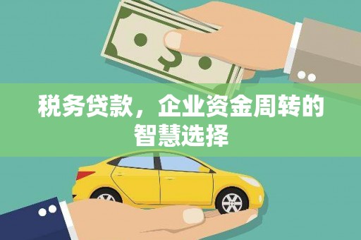 昌都税务贷款，企业资金周转的智慧选择