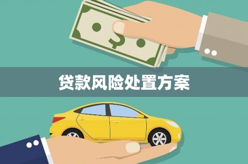 昌都贷款风险处置方案