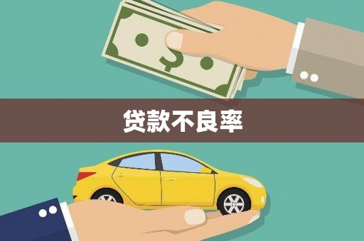 昌都贷款不良率