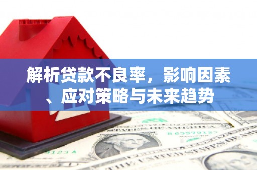 昌都解析贷款不良率，影响因素、应对策略与未来趋势