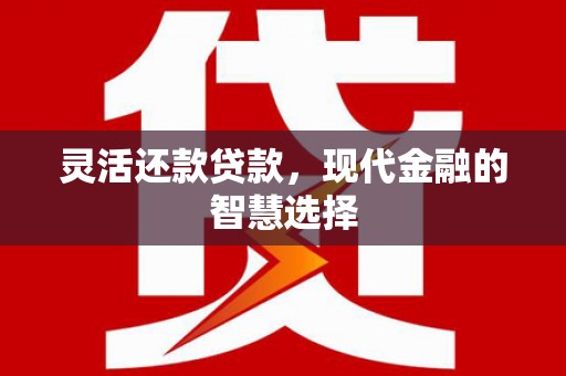昌都灵活还款贷款，现代金融的智慧选择