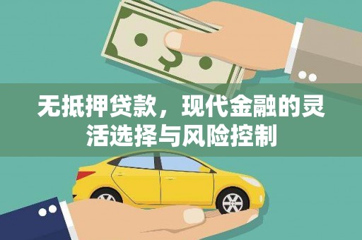 昌都无抵押贷款，现代金融的灵活选择与风险控制